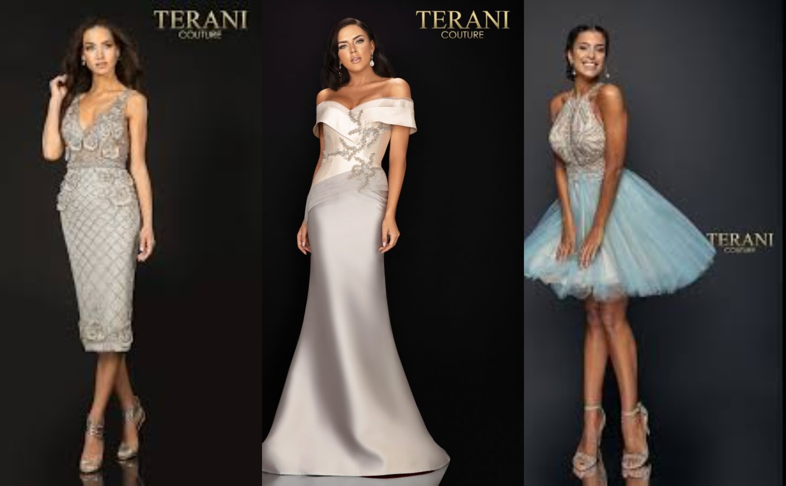 All About The Dresses That Top The List From Terani Couture Collection