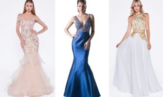 Cinderella Divine Dresses- Your Wardrobe Essential For Parties