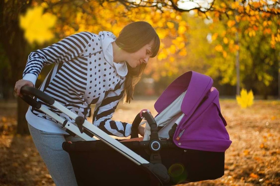How much does it usually cost to rent a stroller