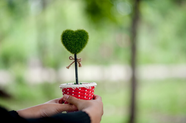 Sustainable and Eco-Friendly Options Valentine