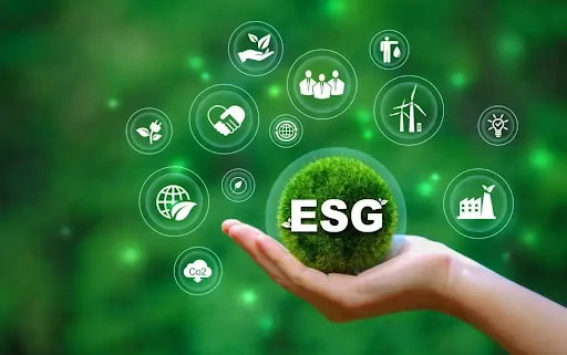 Die Rolle von ESG-Software bei der Optimierung der Nachhaltigkeitsberichterstattung für Unternehmen