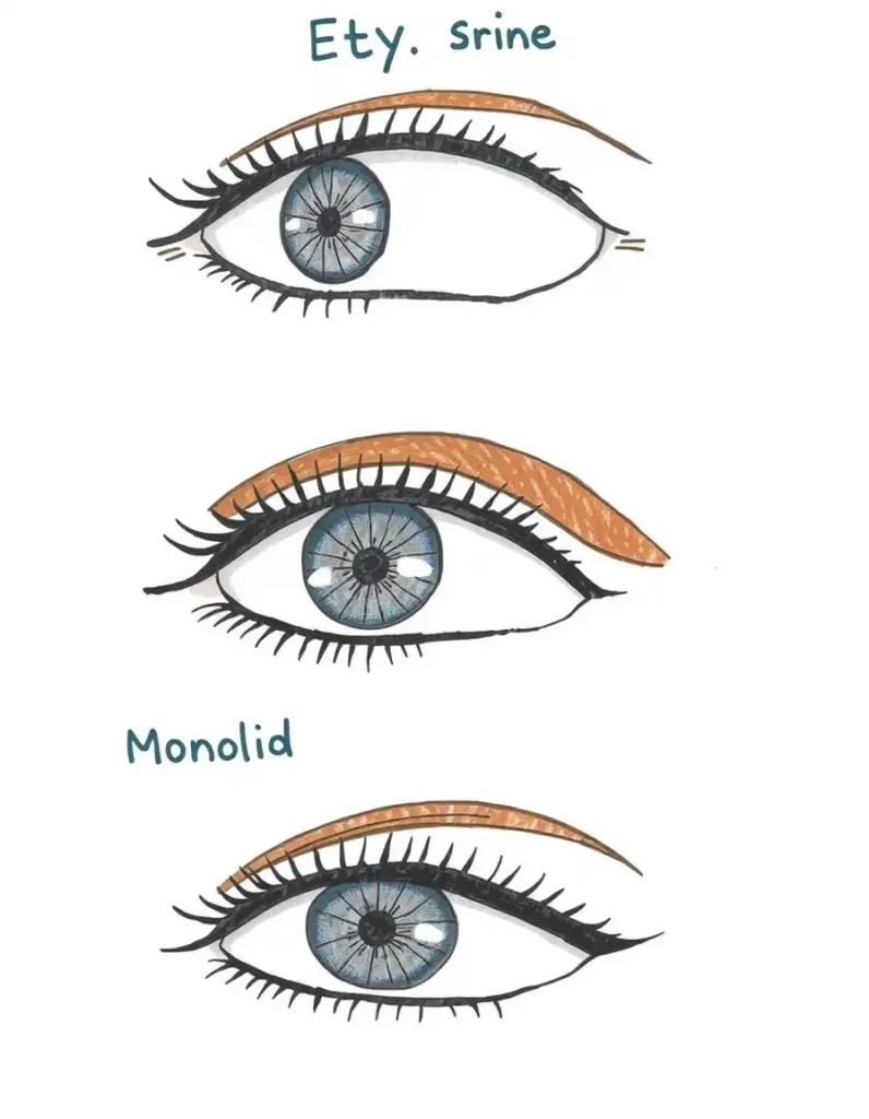 How to Determine Your Eye Shape